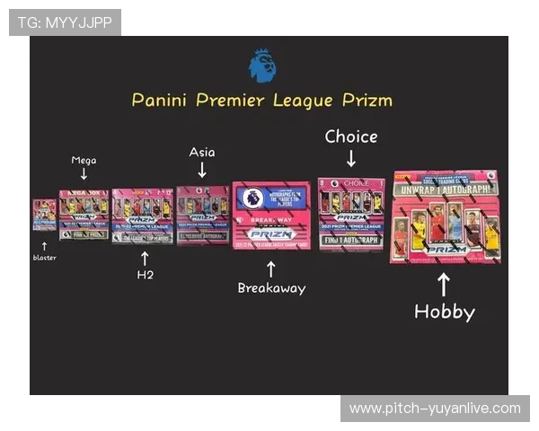 帕尼尼欧洲杯足球星卡全解析：收藏价值与市场趋势分析