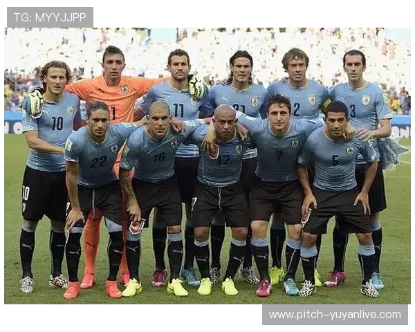 适合铲断的FIFA足球世界球星推荐与技战术解析 适合铲断的FIFA足球世界球星推荐与技战术解析